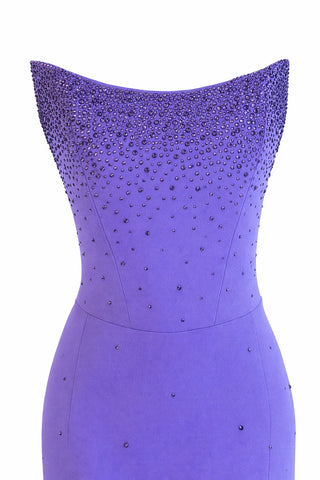 Liora Taş İşlemeli Elbise